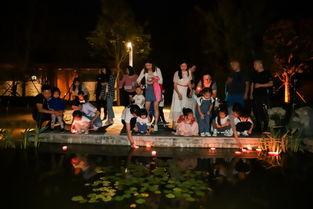 卓尔最新爆料桃花驿,桃花驿神秘面纱背后的传奇故事