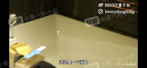 董子初爆料视频,事件背后惊人真相 第2张 董子初爆料视频,事件背后惊人真相 第2张